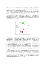 [자연과학, 생화학,] 광우병에 대해서-5