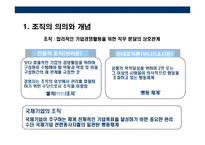 [글로벌 기업의 조직과 통제] 글로벌 기업의 조직과 통제-3