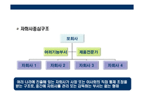 [글로벌 기업의 조직과 통제] 글로벌 기업의 조직과 통제-8