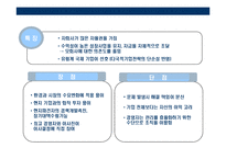 [글로벌 기업의 조직과 통제] 글로벌 기업의 조직과 통제-9