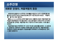 [마케팅원론] 브랜드 마케팅 전략 - 처음처럼-15