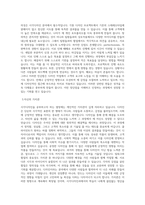 대구가톨릭대학교 시각디자인과 학업계획서 BEST 우수-2