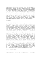 유엔난민기구 한국대표부_유엔난민기구 한국대표부 민간모금팀 후원자 서비스 담당 직원 채용 공고_BEST 우수 자기소개서-2