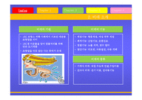 [경제통상,광고론,광고마케팅,마케팅,광고분석,] LooLoo 프랑스 시장 진출 광고-6