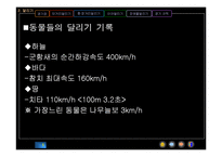 [교생실습지도안] [체육 지도안]PPT 자료 <육상>-5