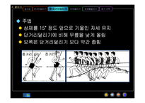 [교생실습지도안] [체육 지도안]PPT 자료 <육상>-15