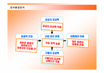 [마케팅조사] [마케팅조사]고객만족을 추구하는 `에버랜드` 마케팅전략 분석(A+리포트)-12