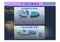 [마케팅사례분석] 한스킨 `비비크림` 마케팅사례분석-4