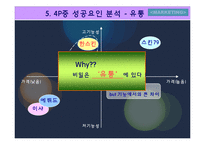 [마케팅사례분석] 한스킨 `비비크림` 마케팅사례분석-12