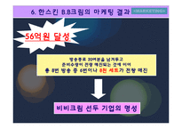 [마케팅사례분석] 한스킨 `비비크림` 마케팅사례분석-16