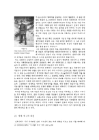 [서양사] 유럽 전쟁의 역사-9