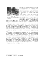 [서양사] 유럽 전쟁의 역사-10