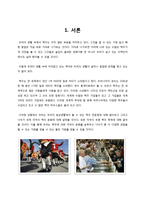 [주류학] 세계의 맥주문화와 축제-3