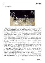 [해외탐방, 두바이, 탐방계획] 해외탐방 계획서-5