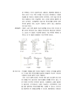 [기초, 건축기초, 줄기초, 독립기초] 건축 기초에 대하여-4
