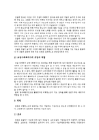 [교정복지, 교정정책] 교정복지의 의의, 역사, 교정복지 관련제도와 교정복지의 실천 및 향후 교정복지의 발전과제 분석(네덜란드의 교정복지정책 사례)-9