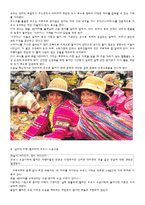 [관광경영학과] 여행계획서-남미여행-9