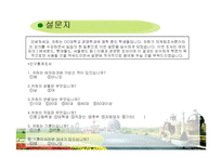 [마케팅분석] 국내 3대 테마파크의 선호도 조사 -선호도 조사를 통한 롯데월드의 마케팅 제안-7