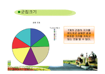 [마케팅분석] 국내 3대 테마파크의 선호도 조사 -선호도 조사를 통한 롯데월드의 마케팅 제안-13