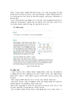 [사회복지] 가족복지정책 과 복지 서비스 가족정의 기능-2
