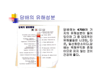 [흡연에 대한 견해] 흡연, 함께 고민해야할 문제-3