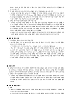 [국제무역] 브라질의 경제 발전과 가능성-8