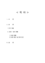 [국제무역] 아르헨티나의 경제 발전-1