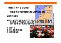 [작지만 강한나라 네널란드] 작지만 강한나라 네널란드-3