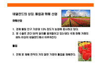 [작지만 강한나라 네널란드] 작지만 강한나라 네널란드-8