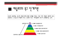 [산업심리] 기업의 직무동기부여 사례와 그 이론-7