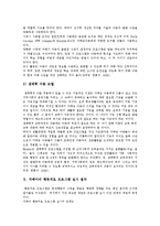 [자폐] 자폐(자폐증, 자폐성아동, 자폐장애)의 임상특징, 진단과 교육 및 치료 프로그램 분석-19