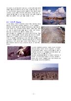[레져,여행경영론,여행정보론] 페루 여행정보 [Peru Travel Information] -5