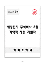A+ 세방전지 주식회사 6월 계약직 채용 지원자 자기소개서-1
