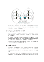 [정보통신] VolP gateway-3