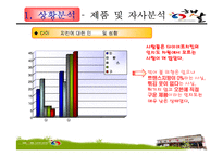 [마케팅관리론] 햇살 다이어트 치킨의 고객확보를 위한 홍보전략-8
