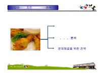 [마케팅관리론] 햇살 다이어트 치킨의 고객확보를 위한 홍보전략-10