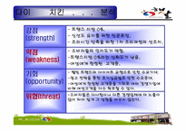[마케팅관리론] 햇살 다이어트 치킨의 고객확보를 위한 홍보전략-12