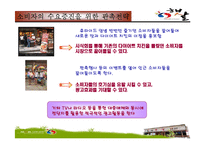 [마케팅관리론] 햇살 다이어트 치킨의 고객확보를 위한 홍보전략-16