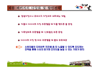 [마케팅관리론] 햇살 다이어트 치킨의 고객확보를 위한 홍보전략-17