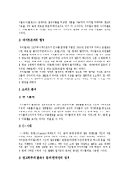 [브랜드확장, 싸이월드] 브랜드(브랜드확장)의 개념, 중요성, 역할과 브랜드확장의 긍정적측면, 부정적측면 및 싸이월드의 브랜드확장 성공 사례-8