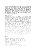 [경영전략] 경영전략의 기능과 경영전략의 개념 및 경영전략 사례 고찰-11