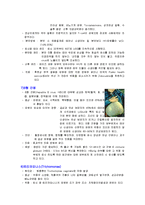 [간호학] 모성간호학 성전파성질환, 기타 감염성질환 레포트-4