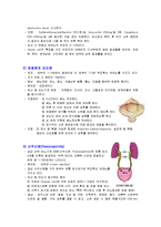 [간호학] 모성간호학 성전파성질환, 기타 감염성질환 레포트-6