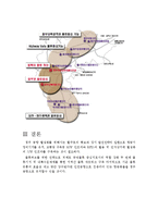 [첨단경영전략] 청주공항 물류활성화를 위한 방안-5