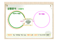 [광고홍보학] 저가화장품 시장내에서의 판매확대를 위한 마케팅전략-12