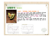 [광고홍보학] 저가화장품 시장내에서의 판매확대를 위한 마케팅전략-15