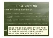[경영] 소주시장 환경변화에 따른 “참이슬”의 성공전략-6