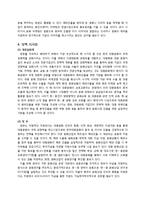 [경영학] 한류를 이용한 중국시장 접근 전략-11