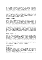 [경영학,마케팅,] 일본진출성공(진로, 농심)-6