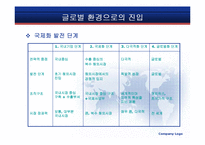 [경영조직] 국제 환경에서의 조직설계-5